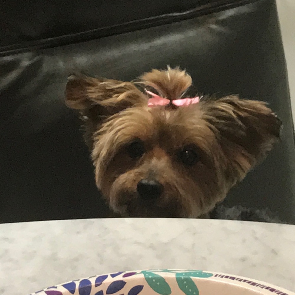 Meet your Posher, Diane